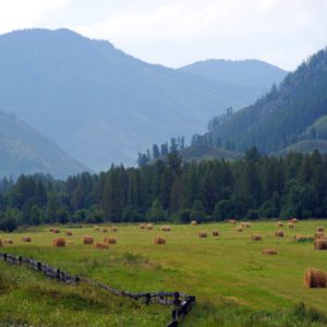 Горные тропинки
