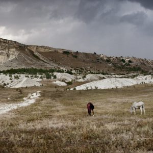 Крымооткрыватели