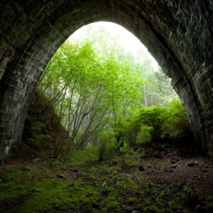 Листвянка — КБЖД — Ольхон