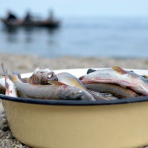 Рыбалка на Чивыркуйском заливе