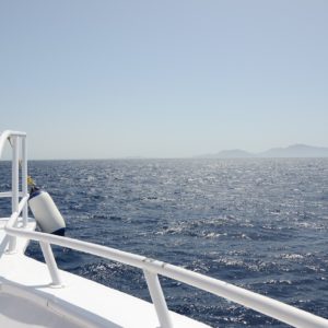 Круизы
