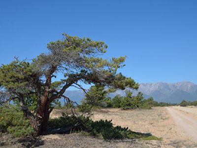 Байкал и Саяны