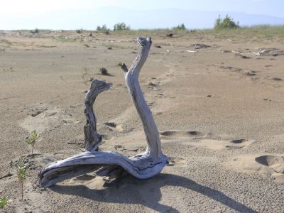 Байкальские романтики