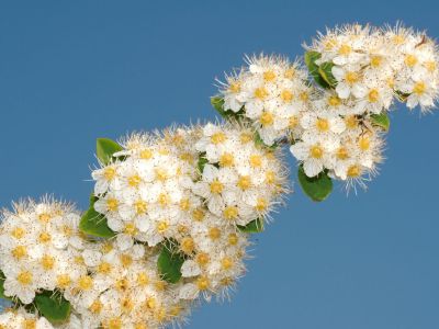 Байкальские встречи