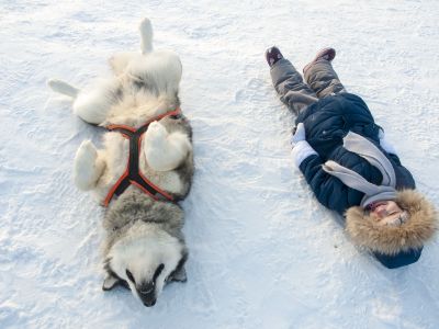 Катание на собачьих упряжках