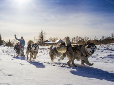 Катание на собачьих упряжках