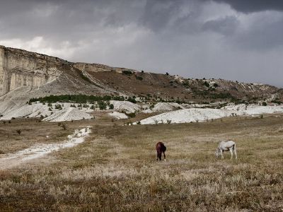 Крымооткрыватели