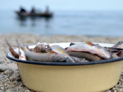 Рыбалка на Чивыркуйском заливе