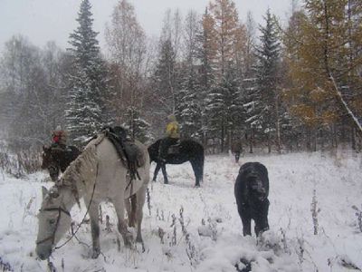 Зимнее красноярье