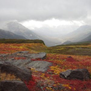 mountain tundra, mountains, ranges